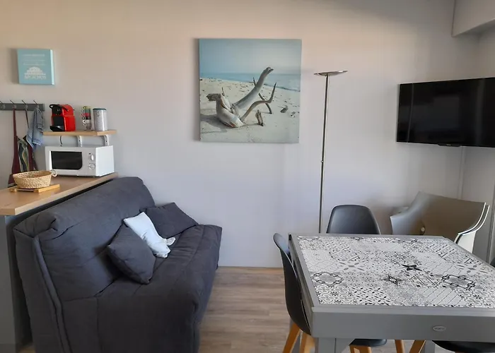 Arcachon: T1 Cabine, Parking Securise, Acces - Fr-1-319-482 Apartment